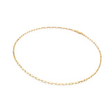 Embrace Small Paperclip Chain - 40-45cm HD X Golden Edit