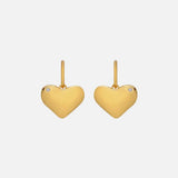 HD X JJ Desire Hook Earrings  - YGP Hot Diamonds