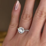 "Indy" Halo Round Brilliant Cut Diamond Scallop Set Diamond Shoulder Engagement Ring HARB17