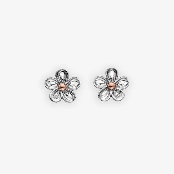 Forget Me Not Earrings Hot Diamonds