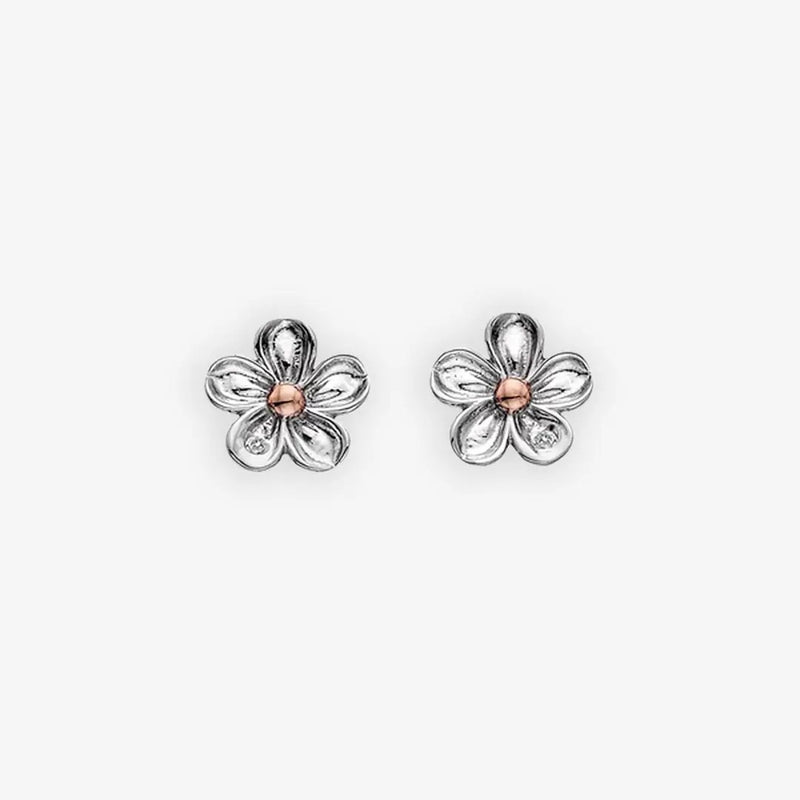 Forget Me Not Earrings Hot Diamonds