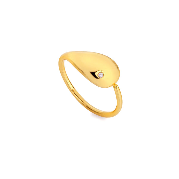 HD X JJ Tide Ring S HD X Golden Edit